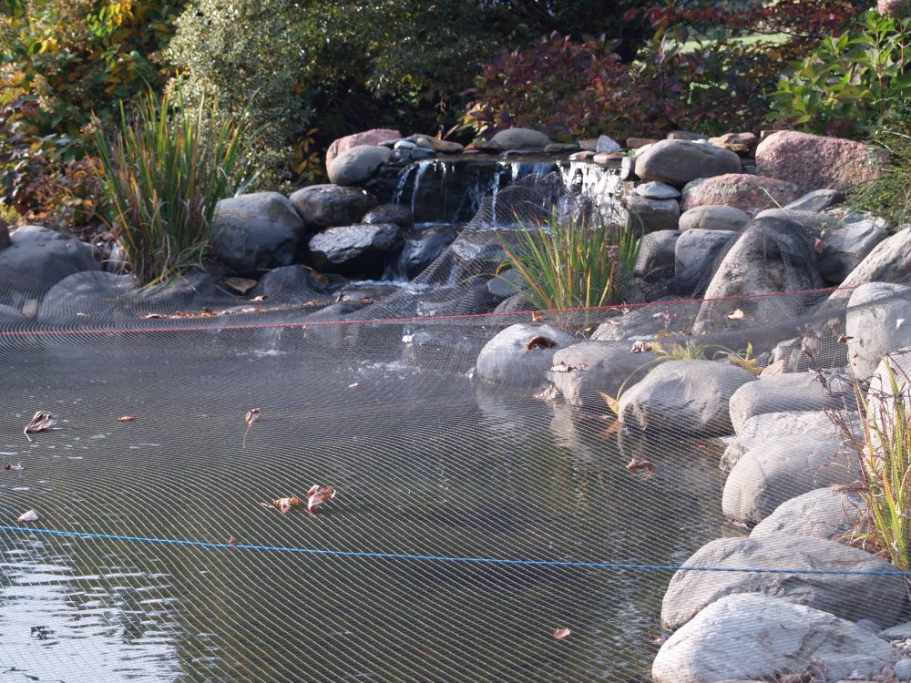 Pond with net covering