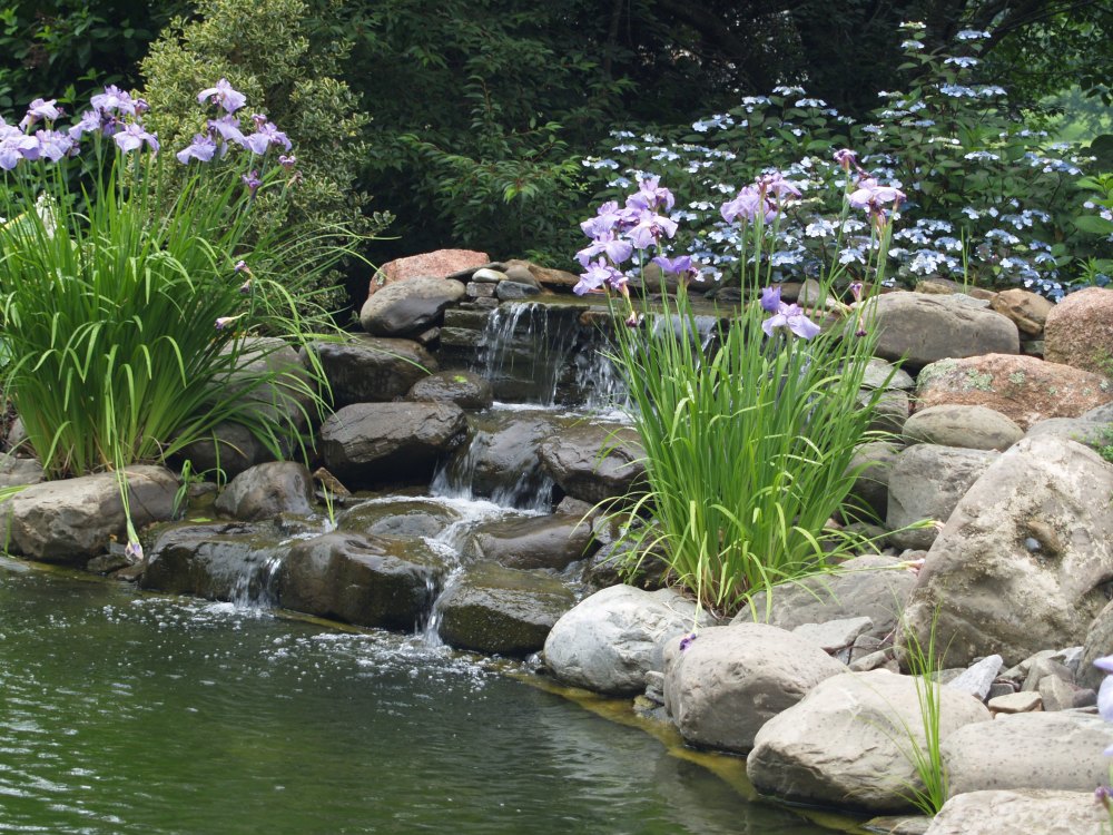 Waterfall of the swimming pond