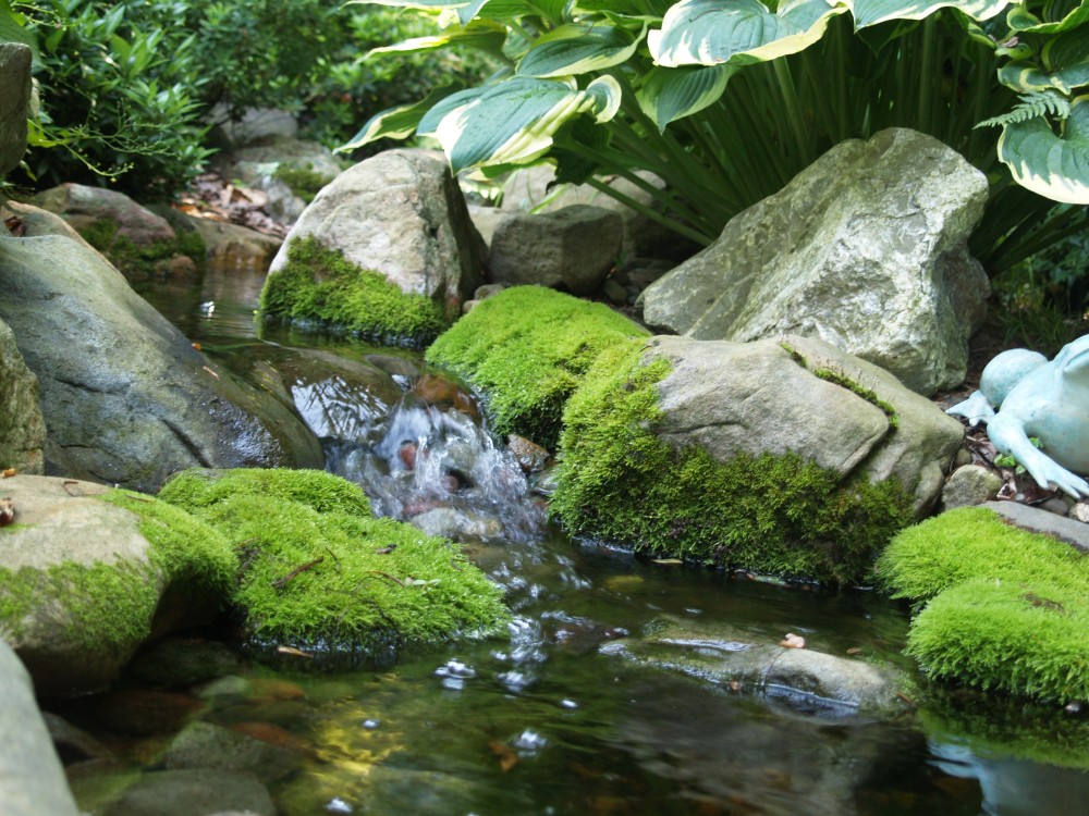 Mossy rocks in the shady stream