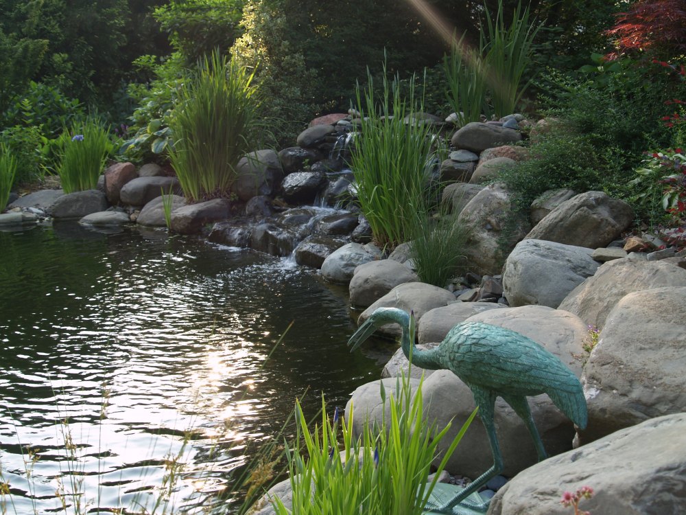 The waterfall of the swimming pond in late May