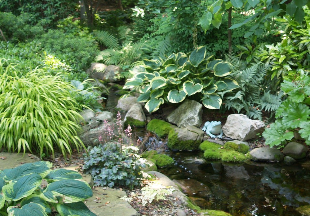 Hostas and Forest grass border this shady stream