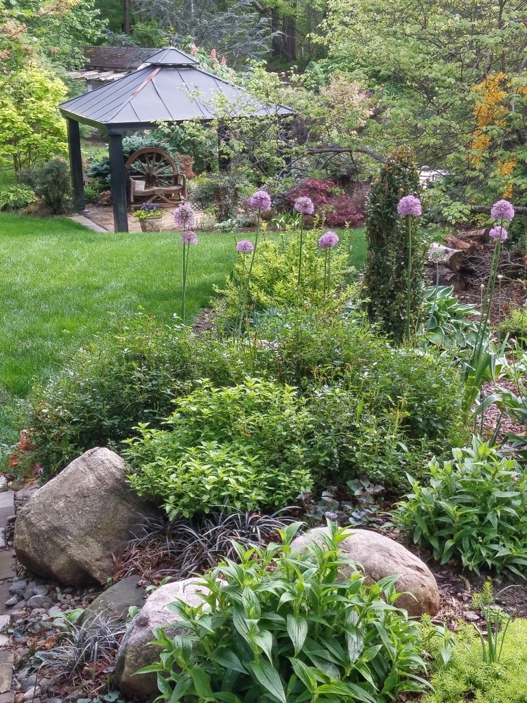 the garden
