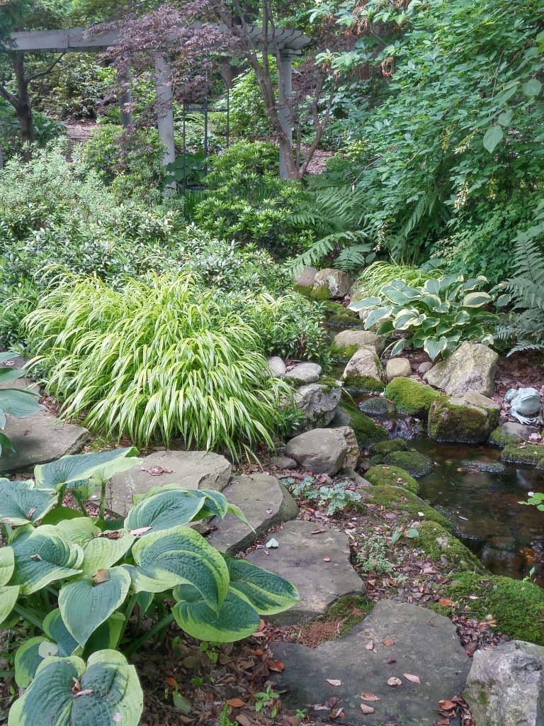 Hostas, Japanese Forest grass, ferns, and sweetbox border this shaded, constructed stream that meanders to a small pond. 
