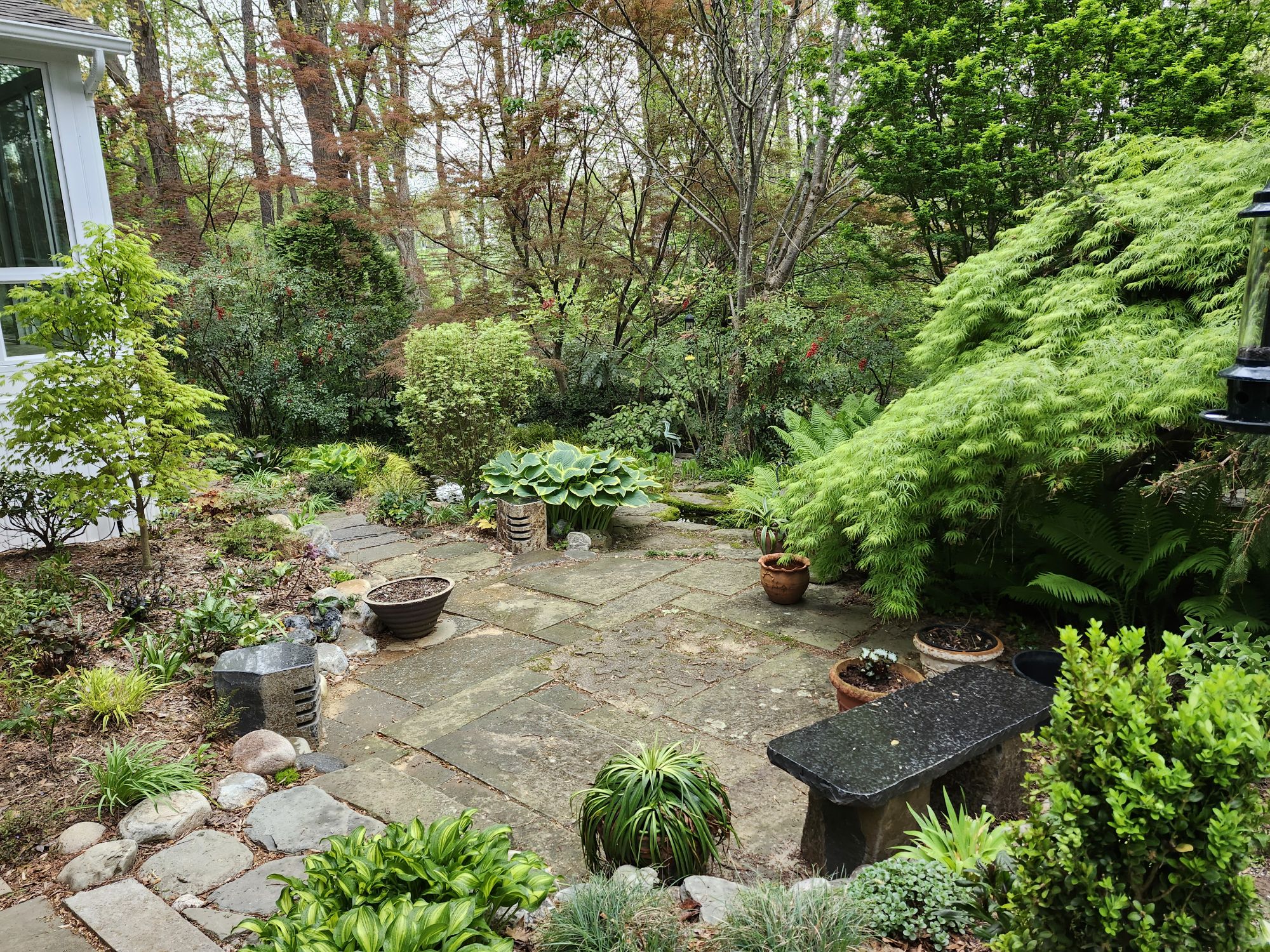 Any time – Ramblin' through Dave's Garden