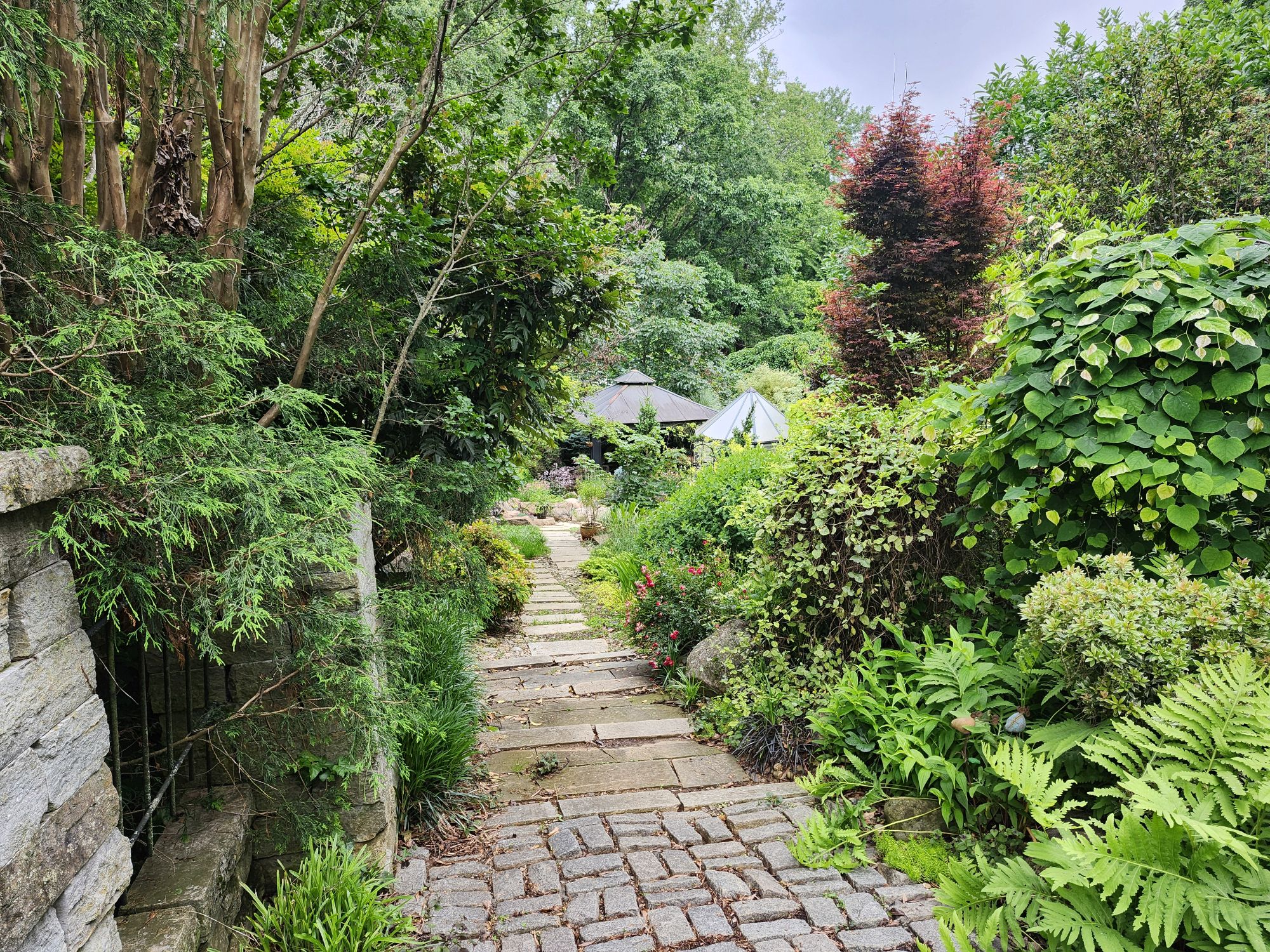 Garden walkaround – the upper rear garden – Ramblin' through Dave's Garden